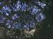 How fast is the speed of darkness?