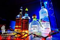 Life of the Party